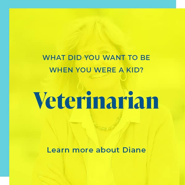 Diane Dazey<br><strong>Director of Permanent Placement</strong>