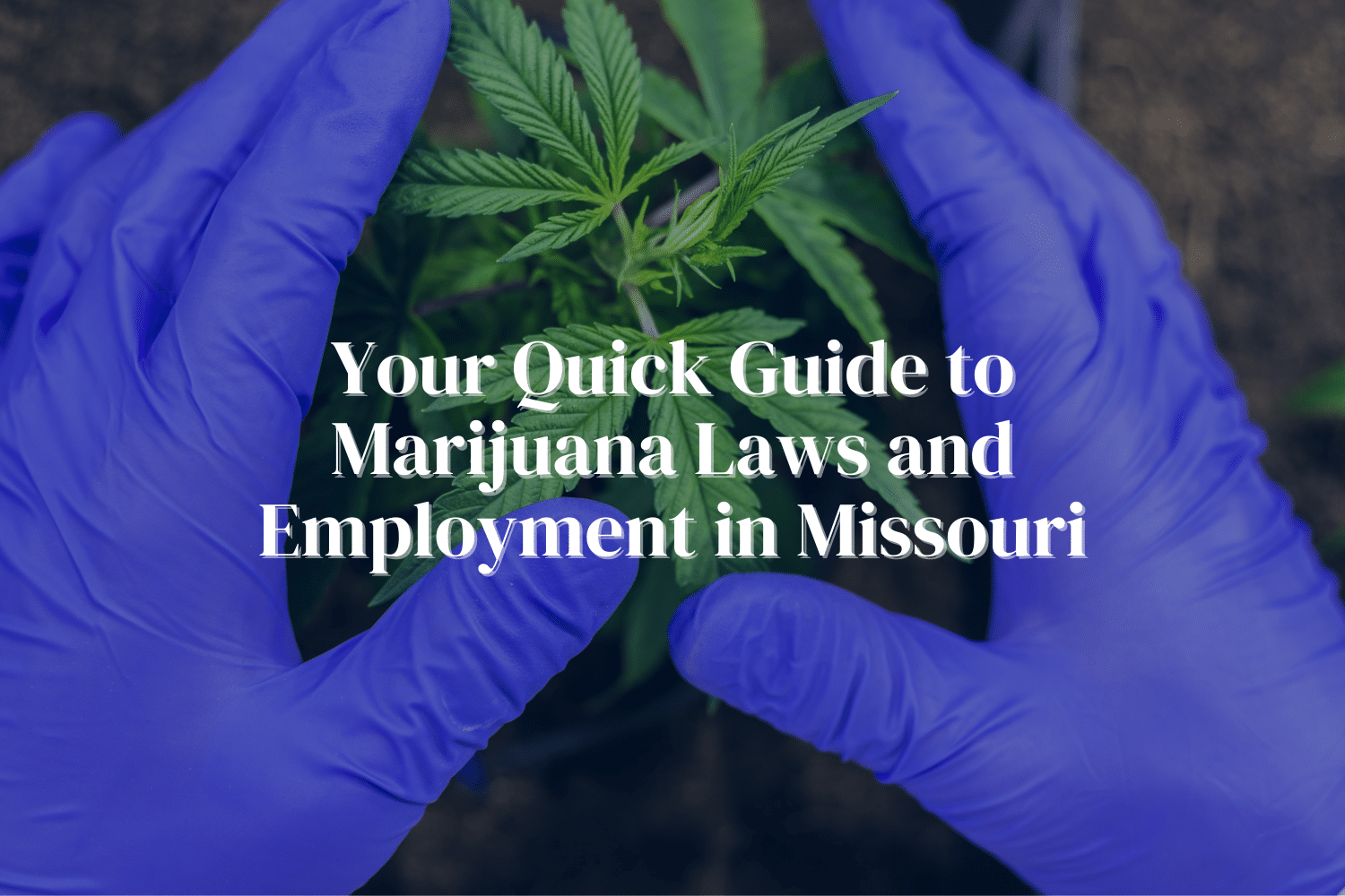 Missouri Marijuana Legalization and Employers PEG Staffing