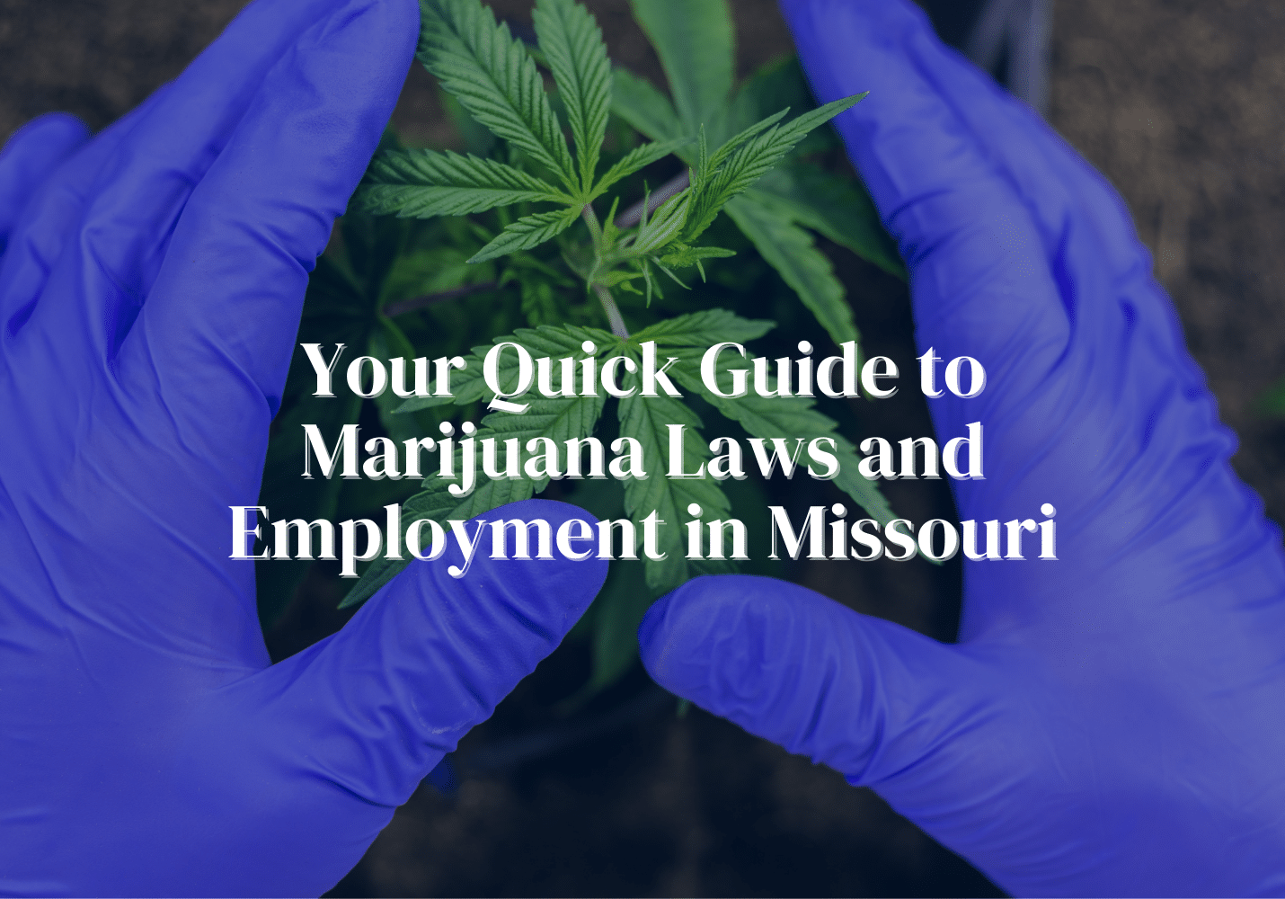 Legalization for Marijuana Legalization for Marijuana